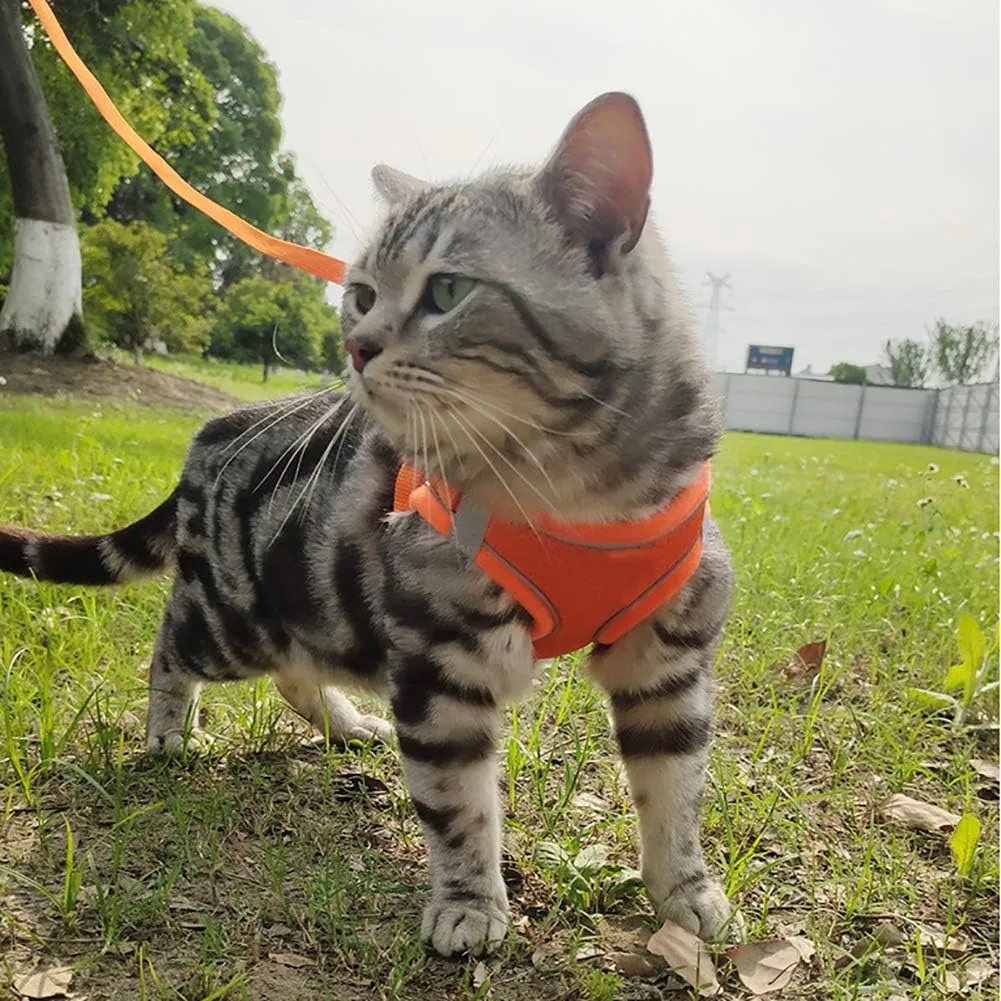 Puppy Harness and Leash Set, Escape Proof Dog Cat Vest Harness for Cats Small Medium Dogs, Adjustable Reflective Step in Harness,Soft Mesh Comfort Fit No Pull No Choke (Small(11.8"-13.3"), Orange)