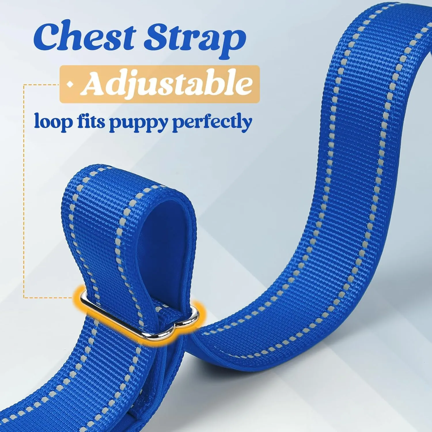 rabbitgoo Dog Harness No Pull, Quick Fit for Large Dogs with Soft Padded Handle, Chest Adjustable Reflective Pet Vest, No Choke Escape Proof for Walking Training, Blue XL