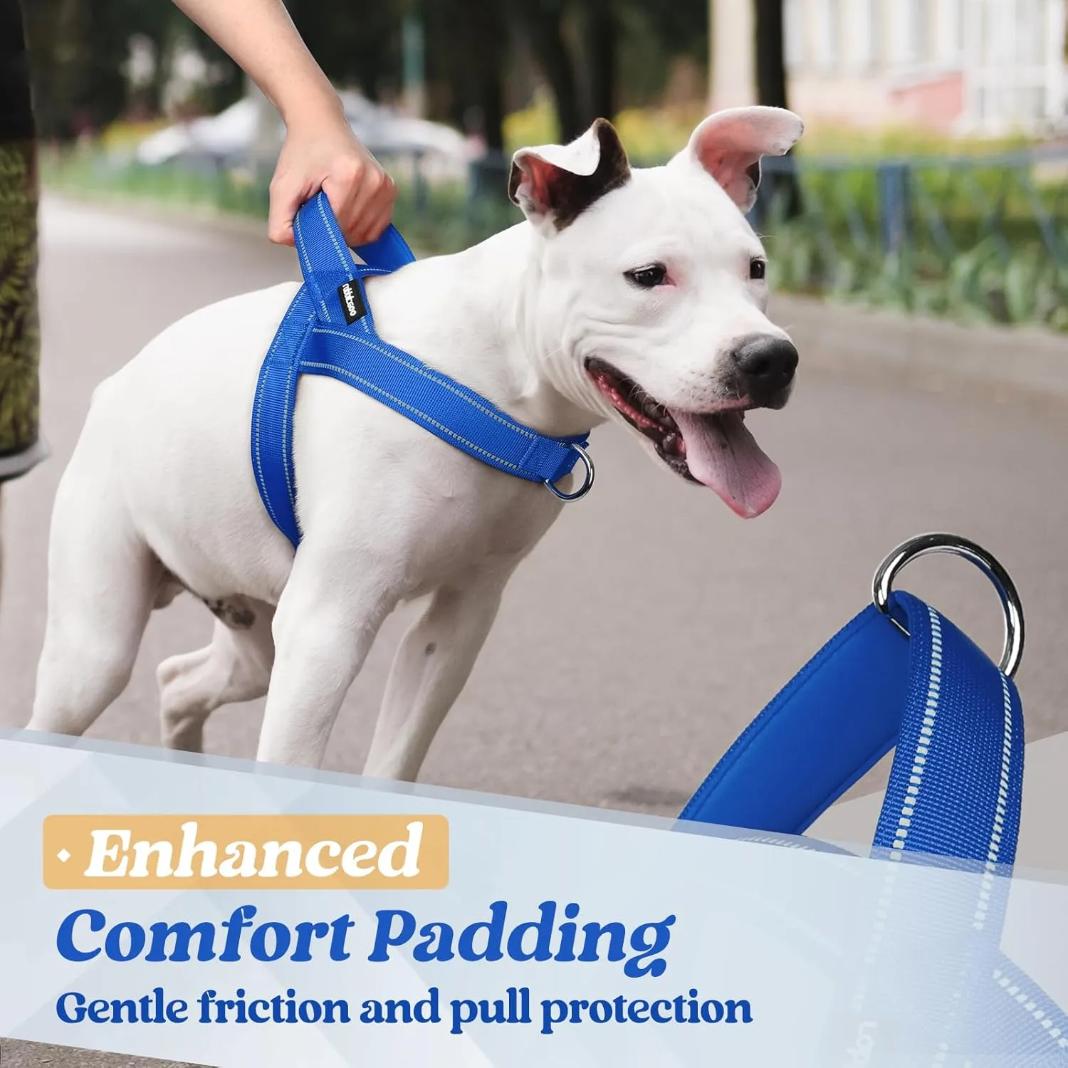 rabbitgoo Dog Harness No Pull, Quick Fit for Large Dogs with Soft Padded Handle, Chest Adjustable Reflective Pet Vest, No Choke Escape Proof for Walking Training, Blue XL