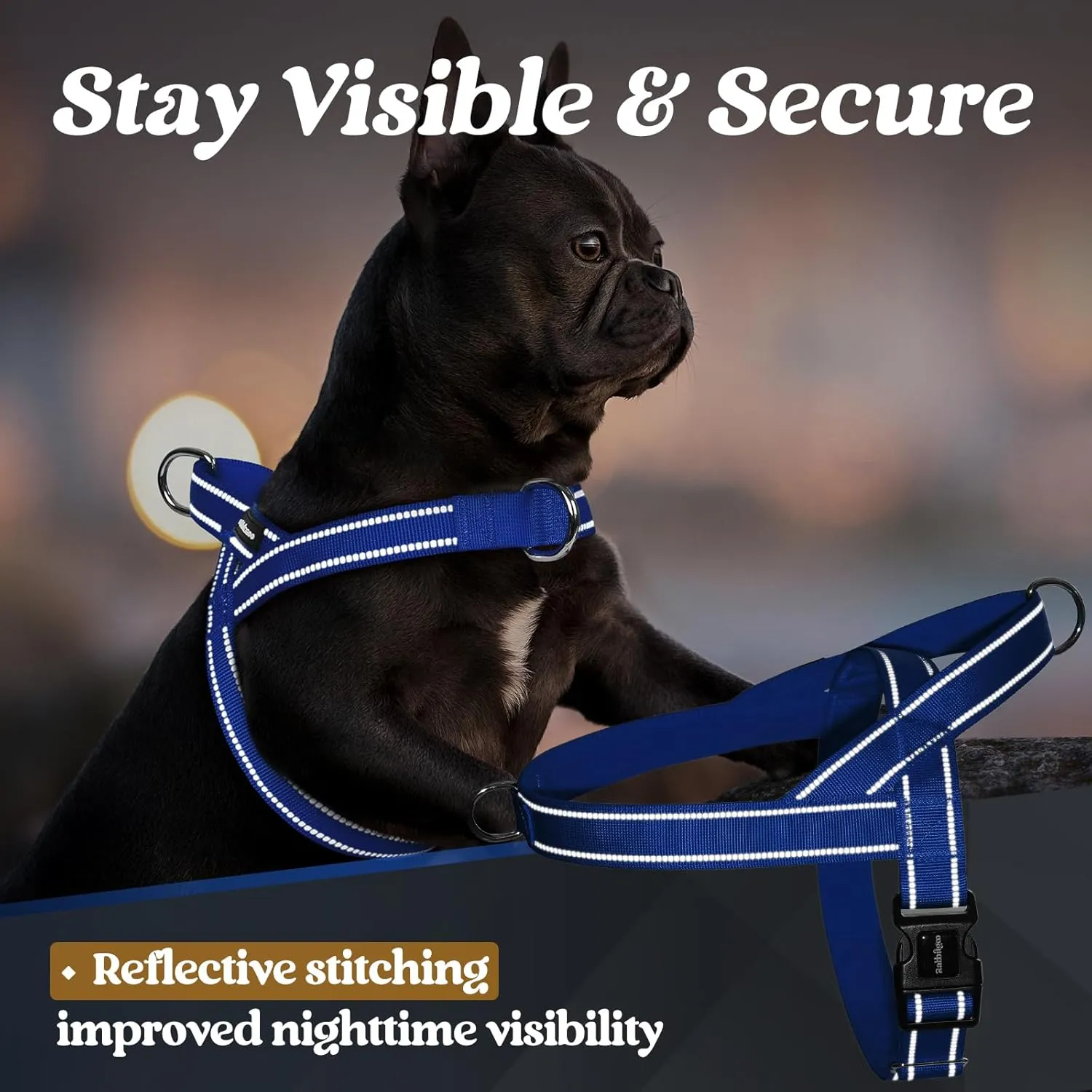 rabbitgoo Dog Harness No Pull, Quick Fit for Large Dogs with Soft Padded Handle, Chest Adjustable Reflective Pet Vest, No Choke Escape Proof for Walking Training, Blue XL