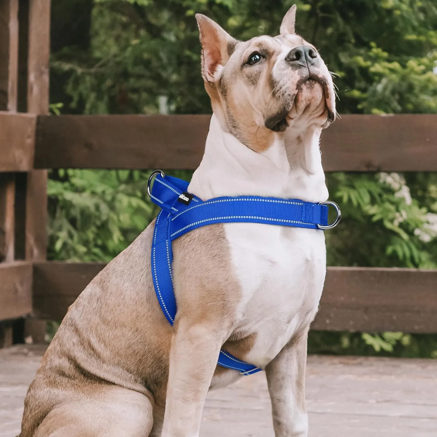 rabbitgoo Dog Harness No Pull, Quick Fit for Large Dogs with Soft Padded Handle, Chest Adjustable Reflective Pet Vest, No Choke Escape Proof for Walking Training, Blue XL