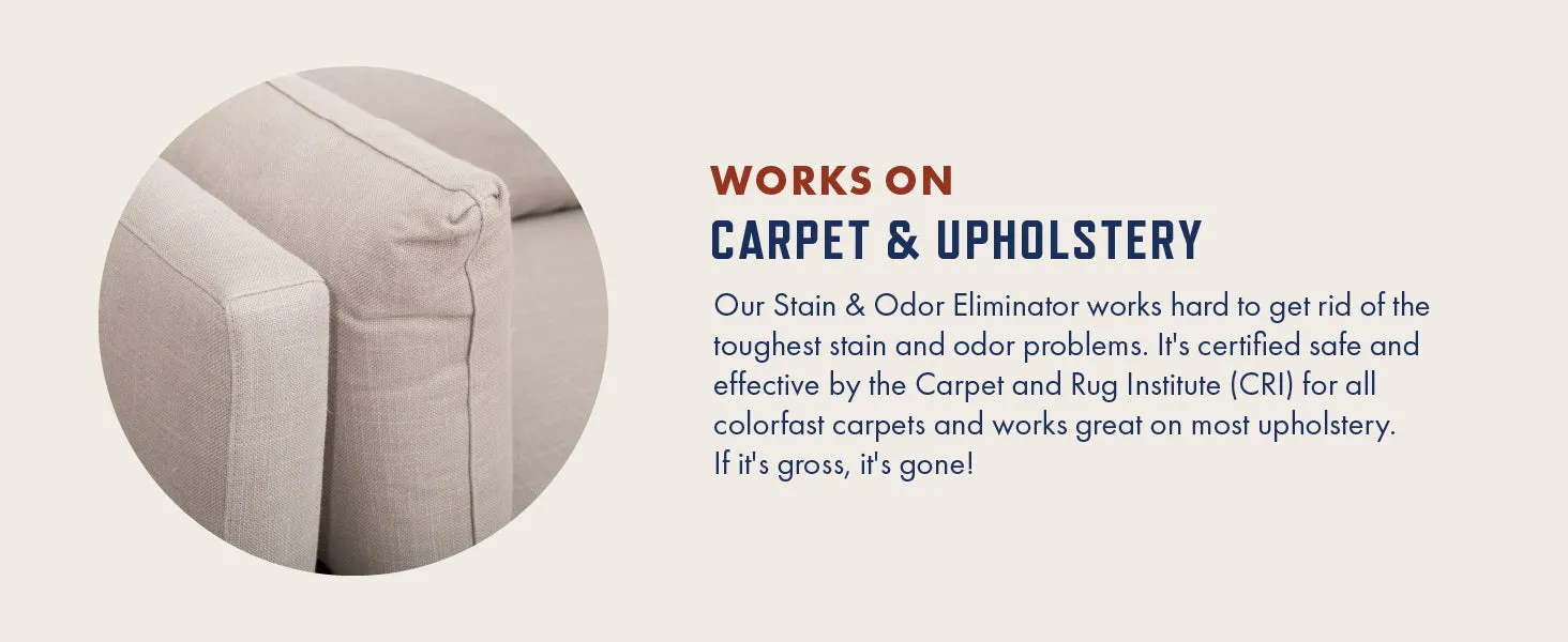 Rocco & Roxie Supply Co. Enzymatic Stain & Odor Eliminator: The Ultimate Pet-friendly Solution for Stubborn Odors and Effective Carpet Cleaning Against Pet Accidents
