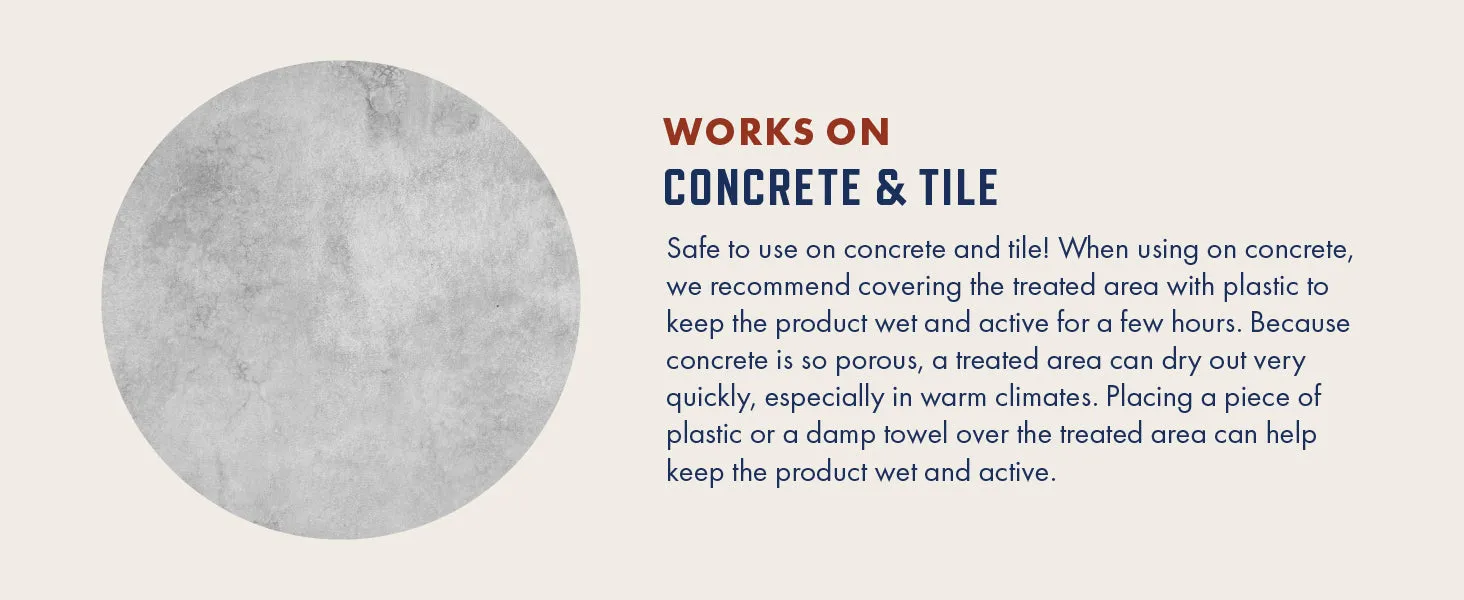 Rocco & Roxie Supply Co. Enzymatic Stain & Odor Eliminator: The Ultimate Pet-friendly Solution for Stubborn Odors and Effective Carpet Cleaning Against Pet Accidents