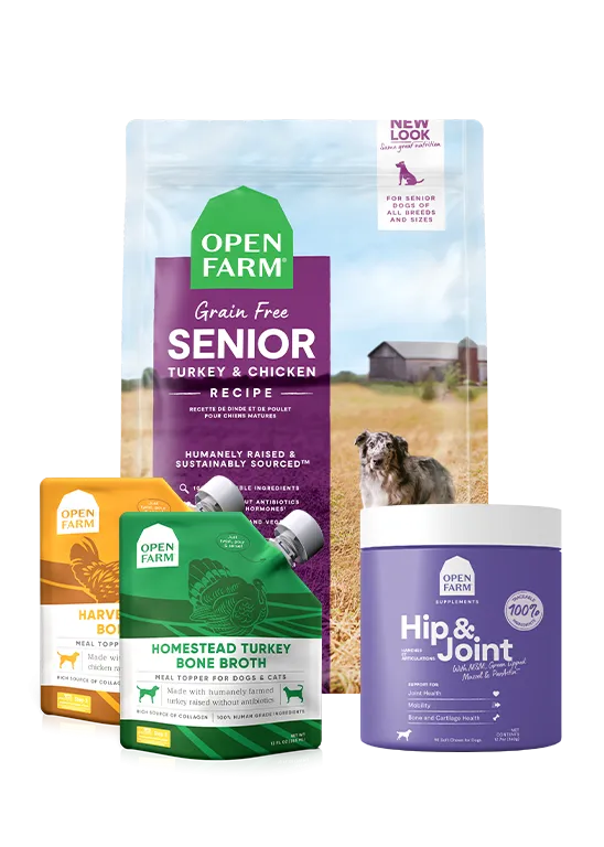 Senior Support Bundle