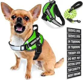Service Dog Vest, 9 Dog Patches No Pull Dog Harness and Leash Set with Handle,Easy On and Off Pet Vest Harness with Night Safe Reflective Straps for Small Medium Large Breed Dogs
