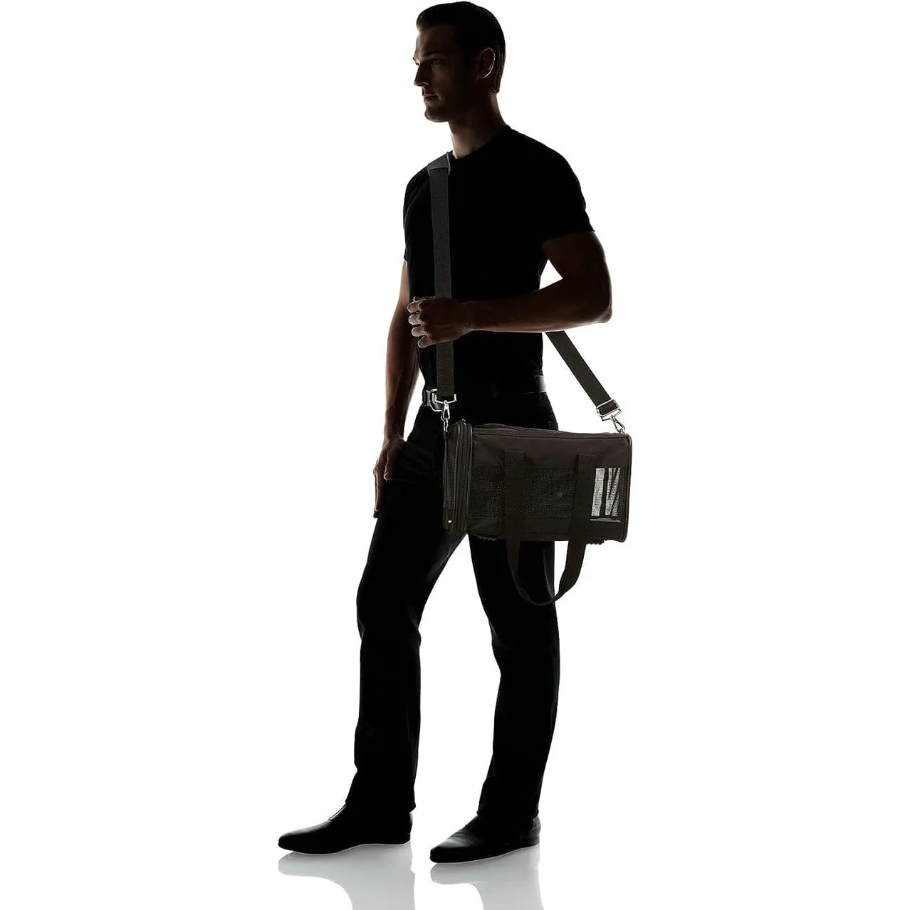 Soft-Sided Mesh Pet Travel Carrier