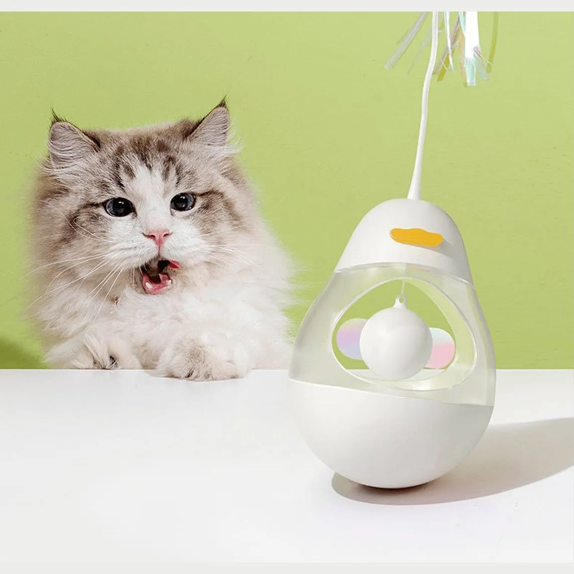 SOFT ZOO Cat Tumbler
