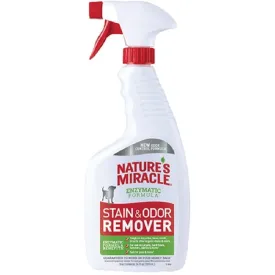 Stain and Odor Remover