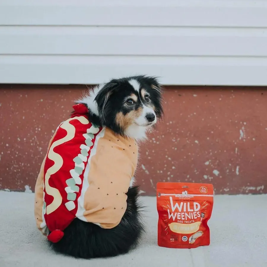 Stella & Chewy's Wild Weenies Cage-Free Chicken Recipe Freeze-Dried Dog Treats 3.25 oz