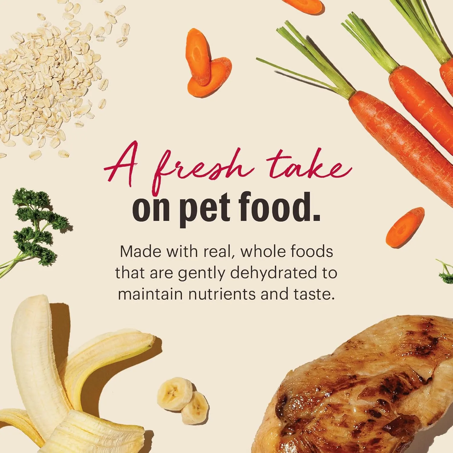 The Honest Kitchen Human Grade Dehydrated Whole Grain Dog Food  Complete Meal or Topper  Chicken 10 lb (makes 40 lbs)
