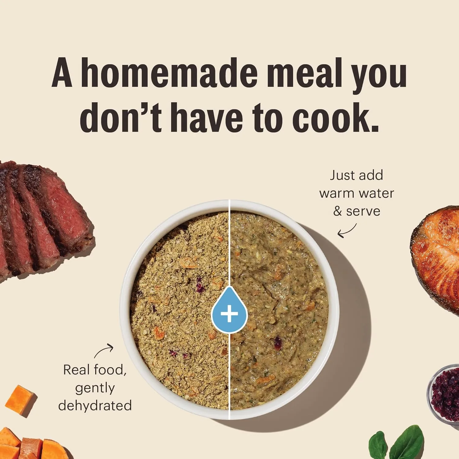 The Honest Kitchen Human Grade Dehydrated Whole Grain Dog Food  Complete Meal or Topper  Chicken 10 lb (makes 40 lbs)