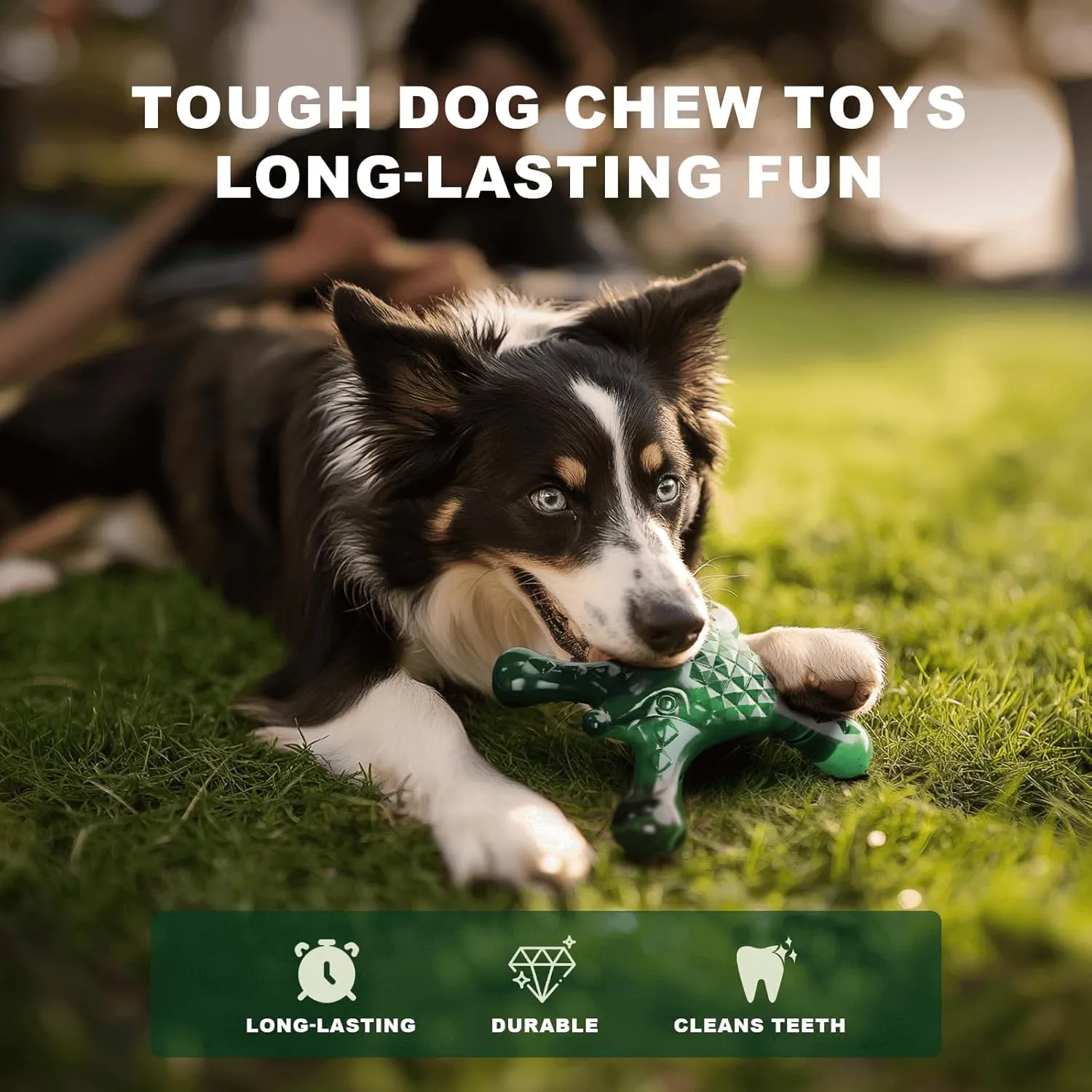 Tough Dog Chew Toy for Aggressive Chewers  Durable Bacon Flavored Nylon Bone for Large Dogs, Fillable Dental Toy for Teething, Indoor Chewing & Crate Training, Boredom Relief Gift