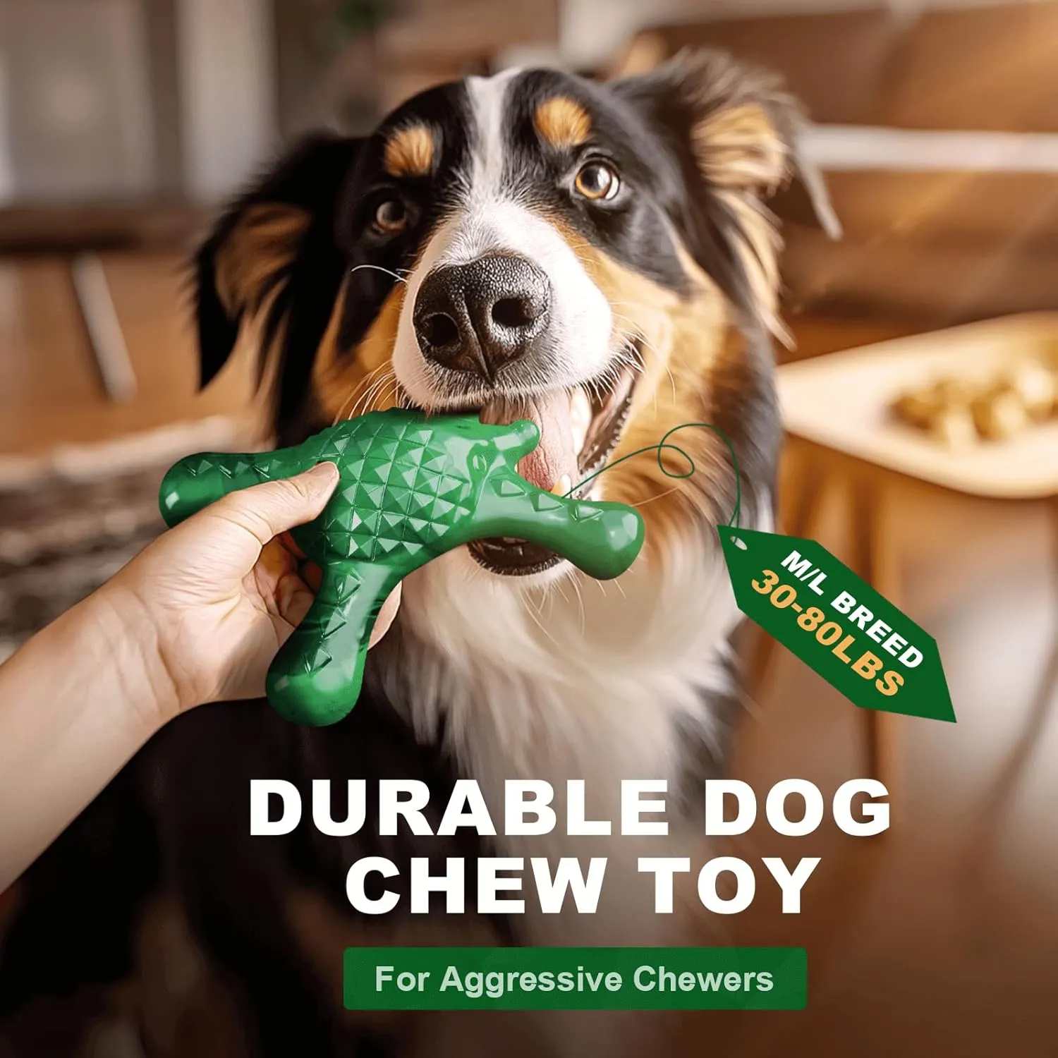Tough Dog Chew Toy for Aggressive Chewers  Durable Bacon Flavored Nylon Bone for Large Dogs, Fillable Dental Toy for Teething, Indoor Chewing & Crate Training, Boredom Relief Gift