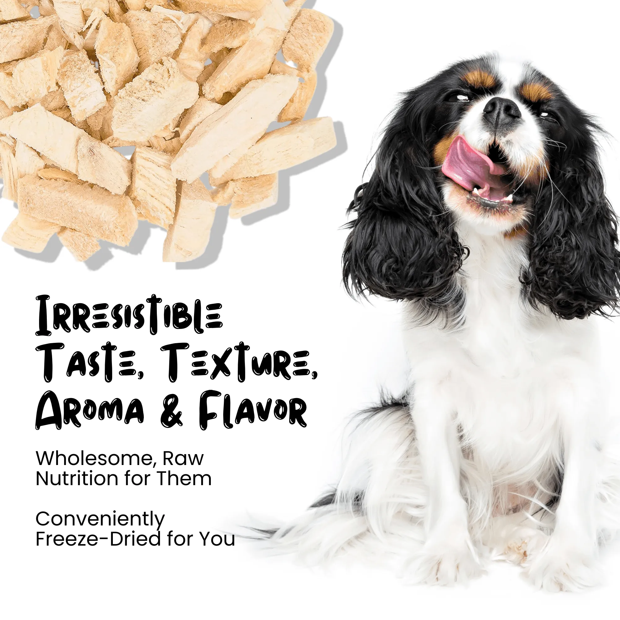 Wholesale Freeze Dried Chicken Breast Treats